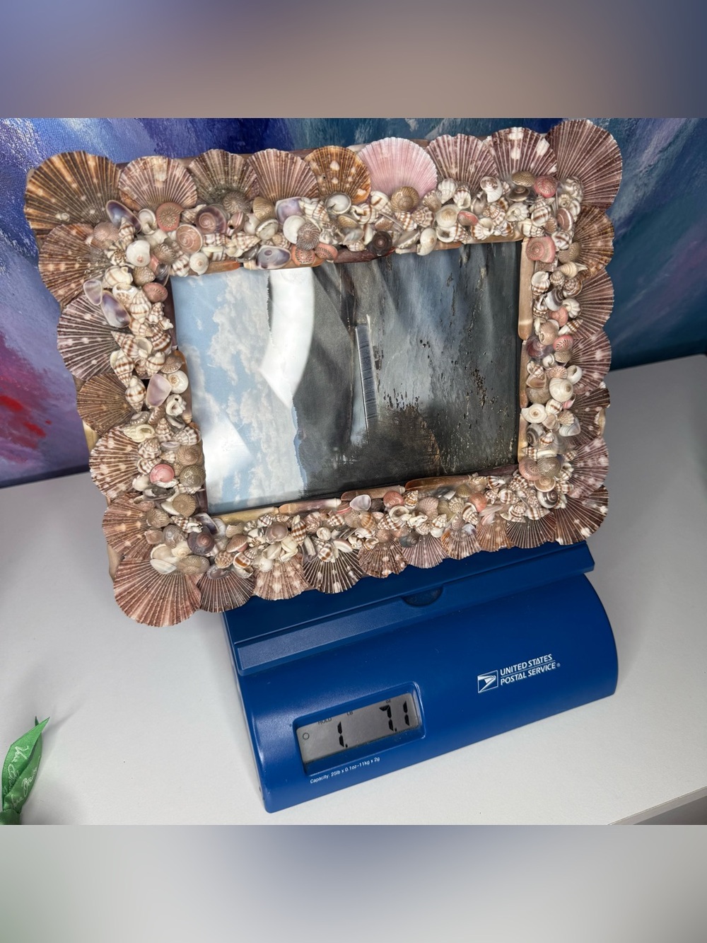Seashell Shell Photo Picture Frame Natural Coastal Beachy Beach House Decor - Picture 16 of 16